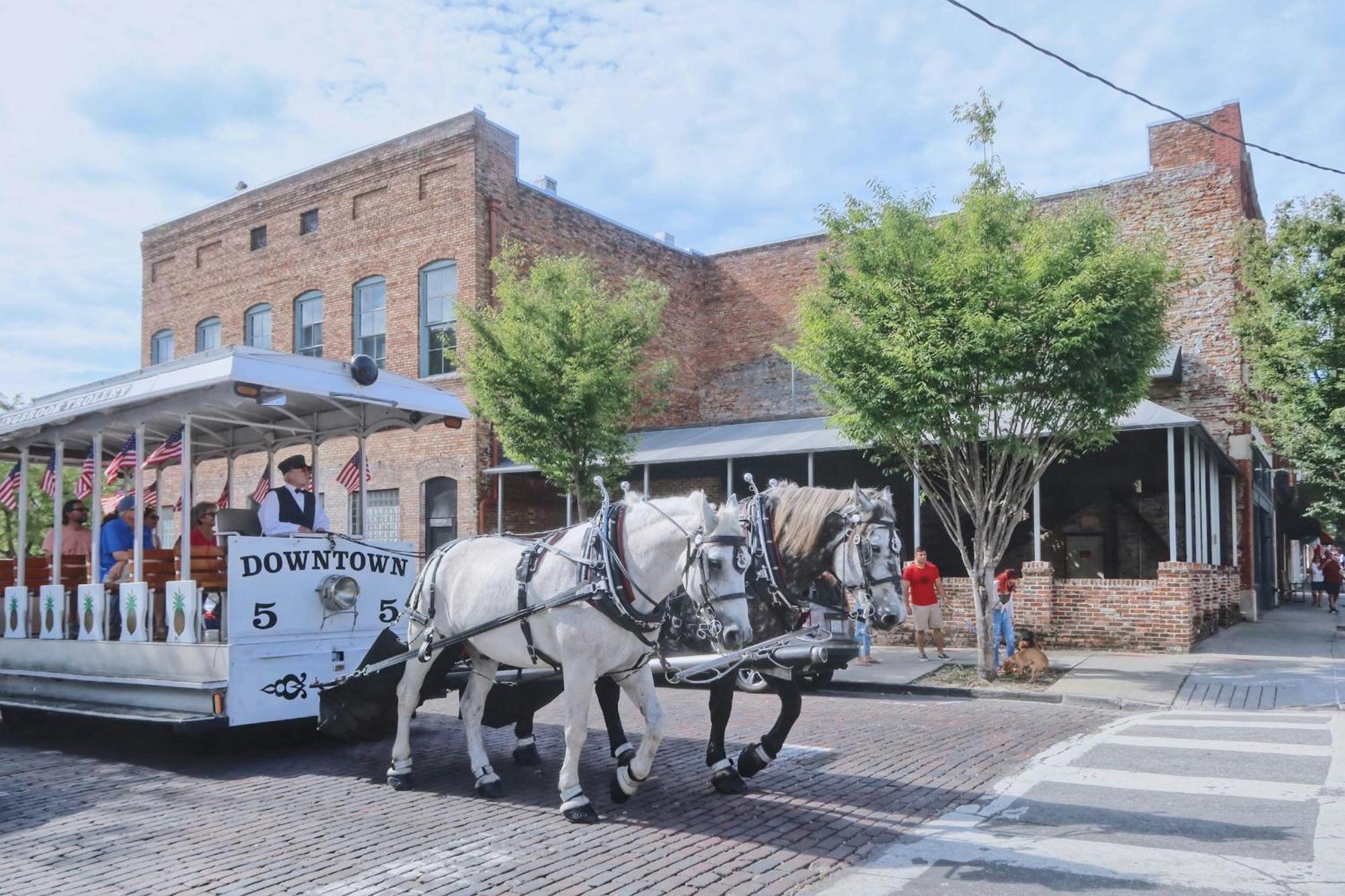 Bluewater Downtown Cottage Wilmington Buitenkant foto